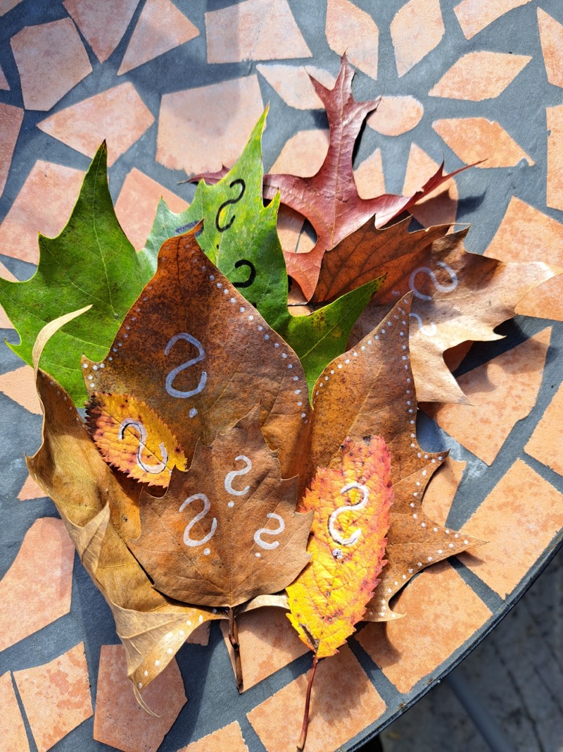 Das Foto zeigt unterschiedliche Herbstblätter, die lose aufeinander liegen. Mit einem weißen Stift sind Fragezeichen darauf gezeichnet.  Die Blätter liegen auf einem braunen Mosaiktisch.