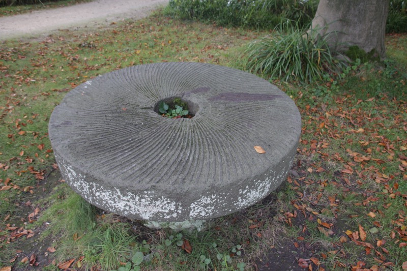 Das Foto zeigt einen alten Mühlstein, der auf einer Wiese liegt. Der Stein ist grau und in der Mitte ist eine grüne Pflanze zu sehen.