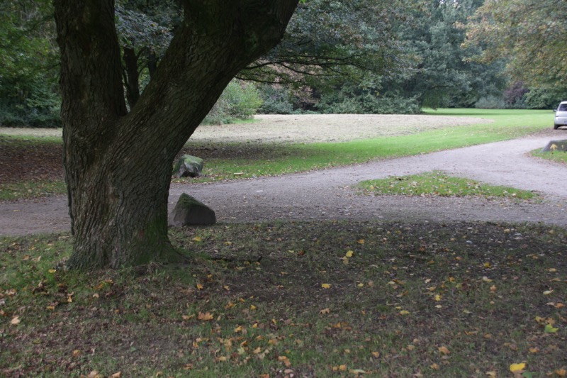 Das Foto zeigt eine Weggabelung in einem Park.  Links beginnt der Weg. In der Bildmitte gabelt er sich. Danach führt der Weg Richtung Horizont und nach rechts. Der Weg ist von kurzem Gras gesäumt. Links vorne im Bild steht ein Baum, welcher sich im Stamm geteilt hat. Zwei Findlinge liegen an der Weggabelung.